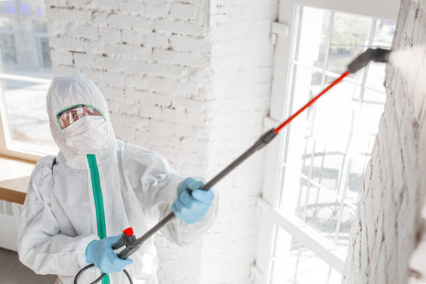 Mold Remediation for Rental Properties in Brookville, PA