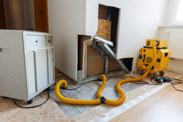 Best Water Damage & Mold Remediation  in Brookville, PA