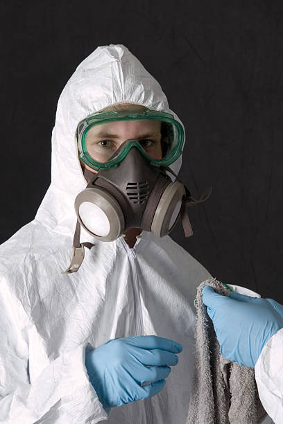 Best Black Mold Removal  in Brookville, PA
